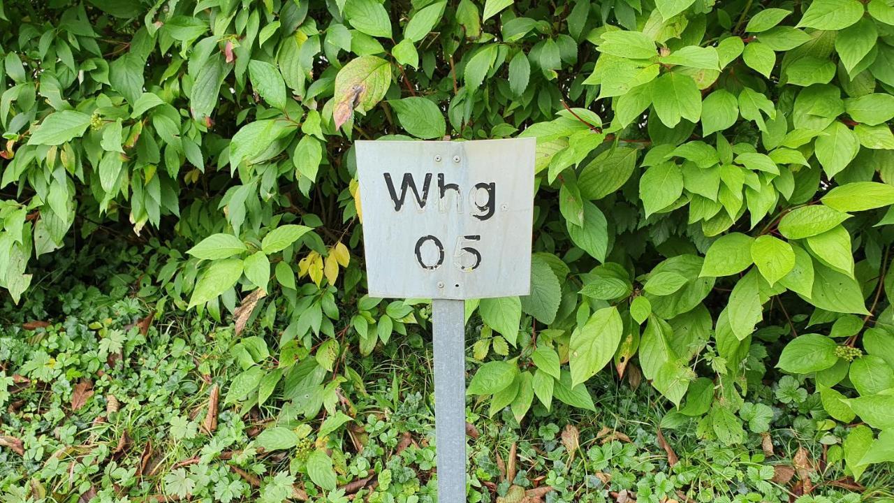 Ferienwohnung Fuer 5 Personen In Wasserburg מראה חיצוני תמונה